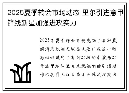 2025夏季转会市场动态 里尔引进意甲锋线新星加强进攻实力