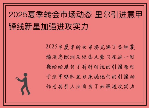2025夏季转会市场动态 里尔引进意甲锋线新星加强进攻实力