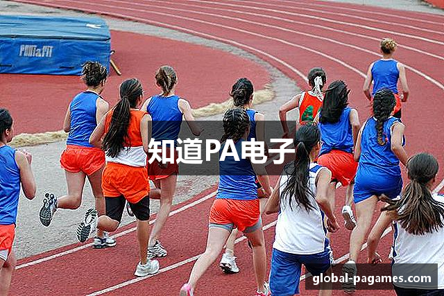 知道PA电子